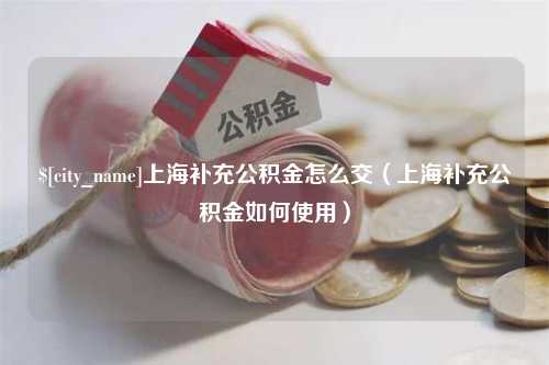 阳泉上海补充公积金怎么交（上海补充公积金如何使用）